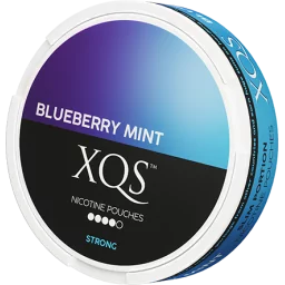 XQS Blueberry Mint Slim Extra Strong