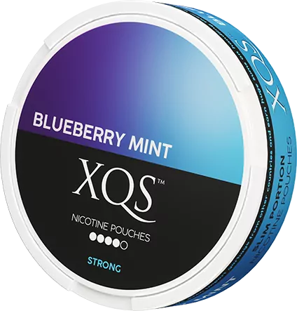 XQS Blueberry Mint Slim Extra Strong