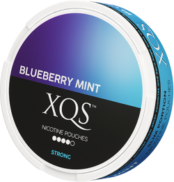 XQS Blueberry Mint Slim Extra Strong