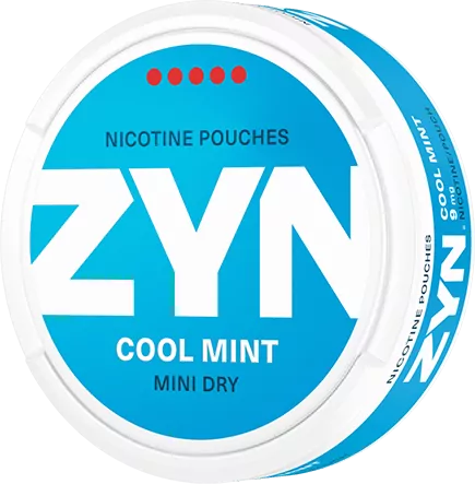 ZYN Cool Mint Mini Dry Super Strong