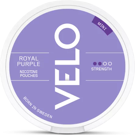 VELO Mini Royal Purple