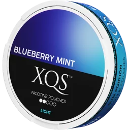 XQS Blueberry Mint Slim Light